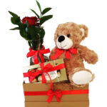 Teddy and rose