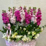 Mother's day flowers